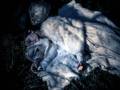 2_2023-01-21_Blanche_Neige_06